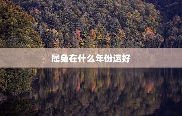 属兔在什么年份运好