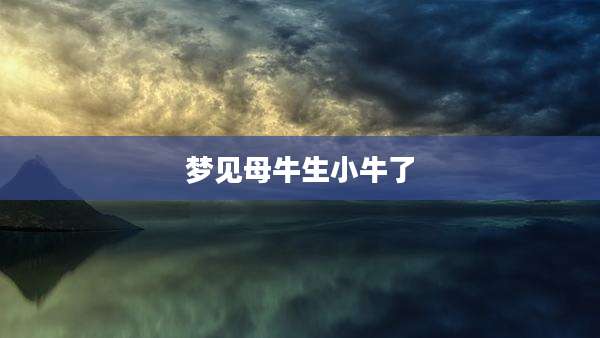 梦见母牛生小牛了