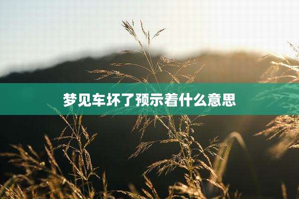 梦见车坏了预示着什么意思
