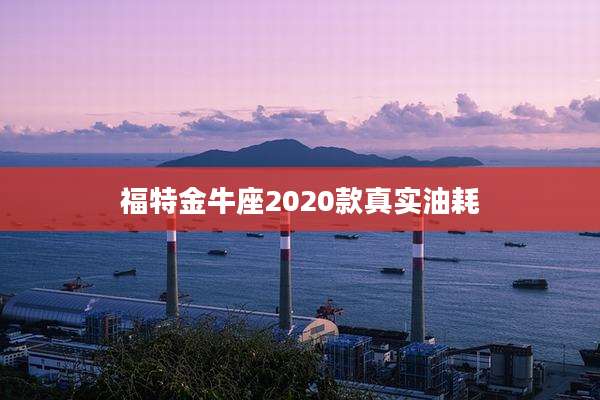 福特金牛座2020款真实油耗