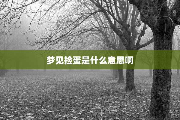 梦见捡蛋是什么意思啊