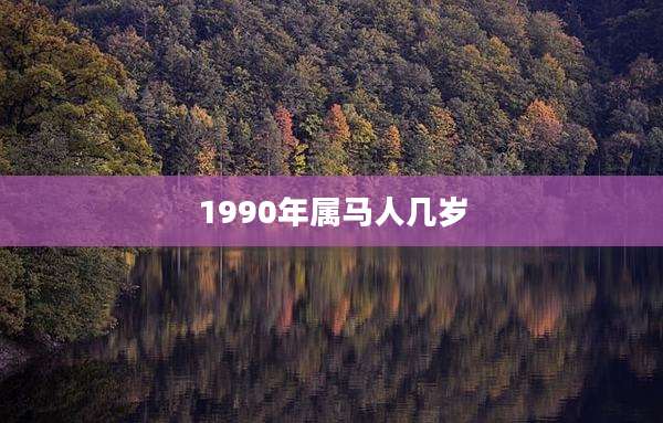 1990年属马人几岁