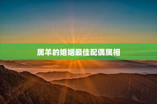 属羊的婚姻最佳配偶属相