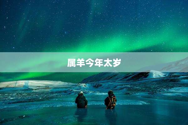 属羊今年太岁