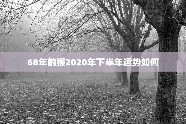 68年的猴2020年下半年运势如何