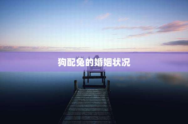 狗配兔的婚姻状况