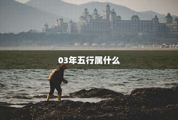 03年五行属什么