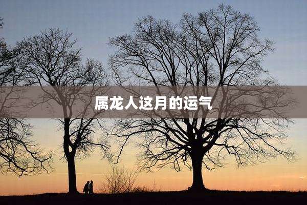 属龙人这月的运气