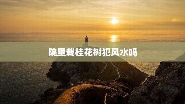 院里栽桂花树犯风水吗