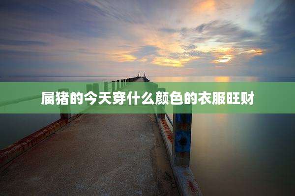 属猪的今天穿什么颜色的衣服旺财