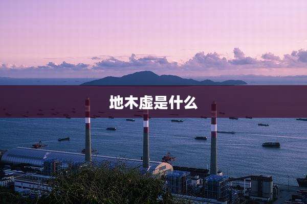 地木虚是什么