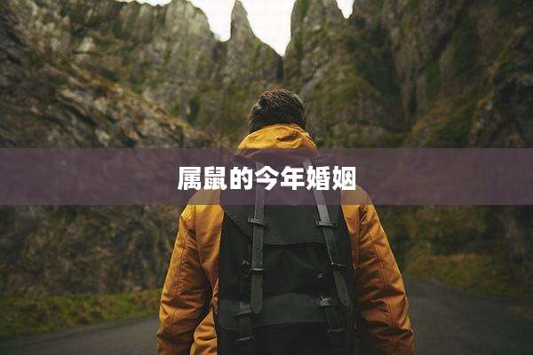 属鼠的今年婚姻