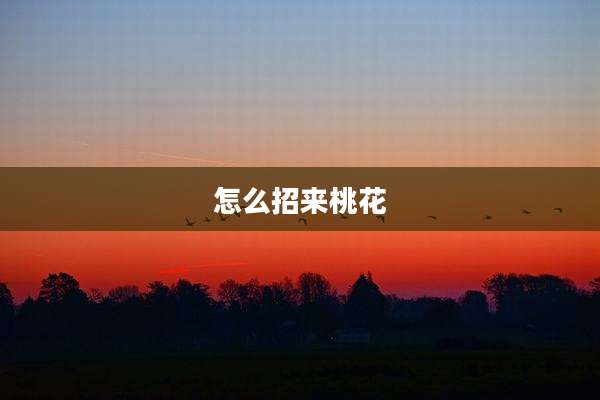 怎么招来桃花