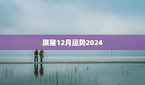 属猪12月运势2024