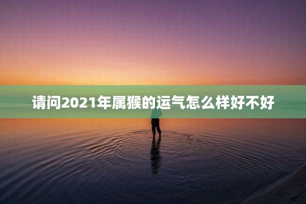 请问2021年属猴的运气怎么样好不好
