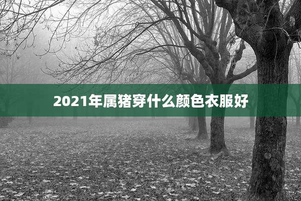 2021年属猪穿什么颜色衣服好