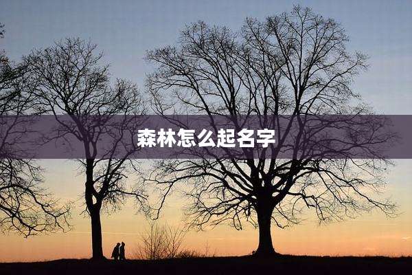 森林怎么起名字