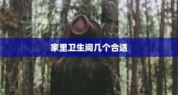 家里卫生间几个合适
