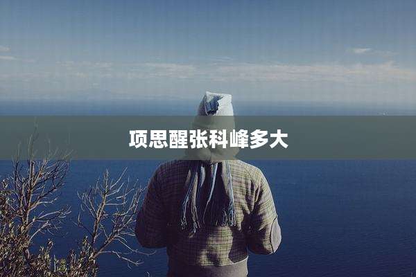 项思醒张科峰多大