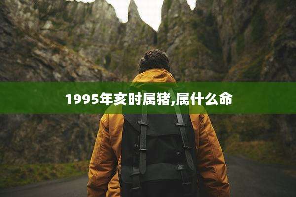 1995年亥时属猪,属什么命