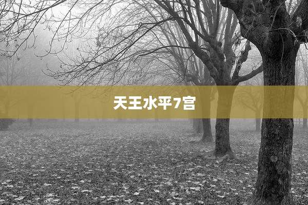 天王水平7宫