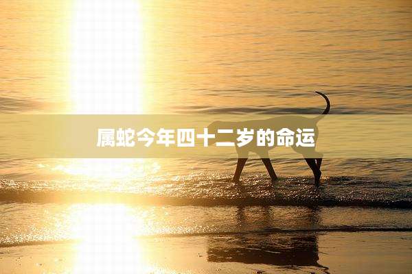 属蛇今年四十二岁的命运