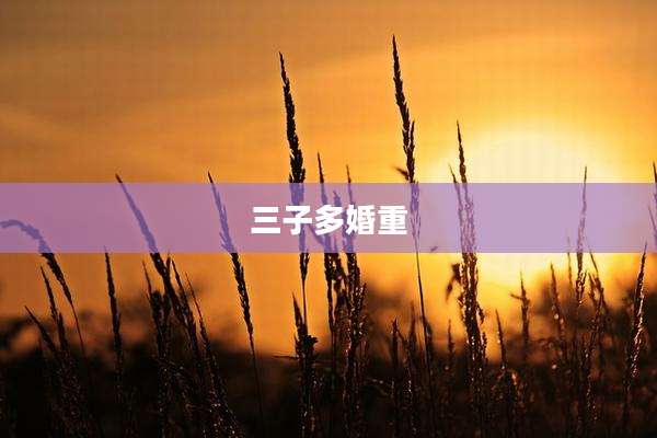 三子多婚重