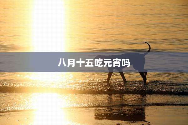 八月十五吃元宵吗
