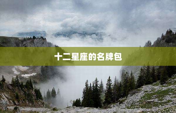 十二星座的名牌包