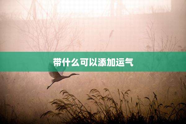 带什么可以添加运气