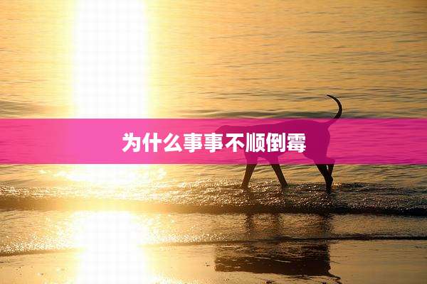 为什么事事不顺倒霉
