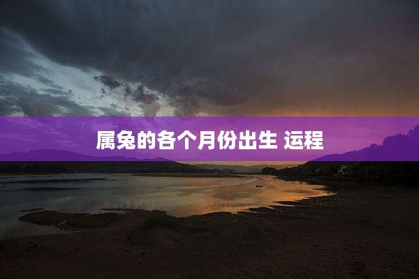 属兔的各个月份出生 运程