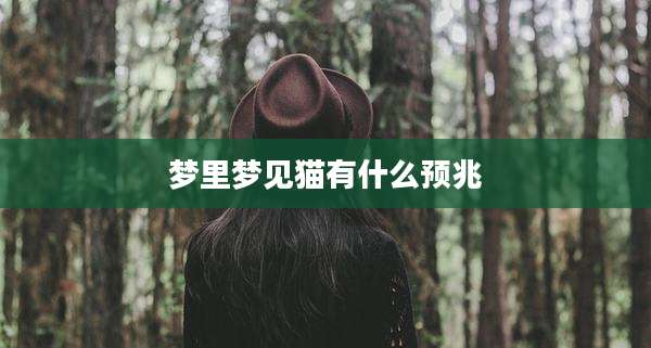 梦里梦见猫有什么预兆