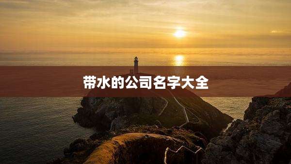 带水的公司名字大全
