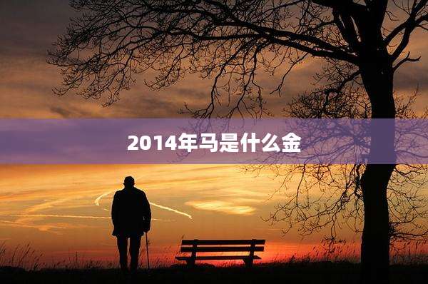 2014年马是什么金