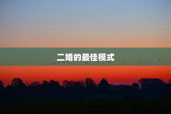 二婚的最佳模式