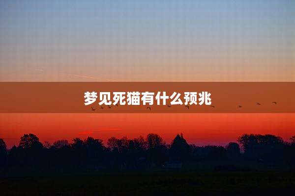 梦见死猫有什么预兆