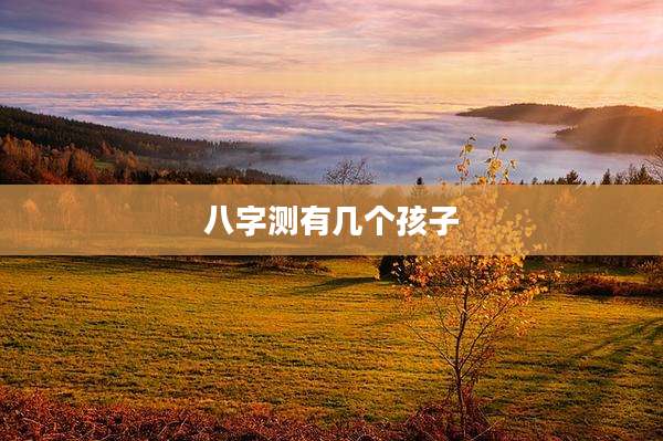 八字测有几个孩子