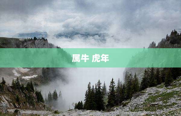 属牛 虎年