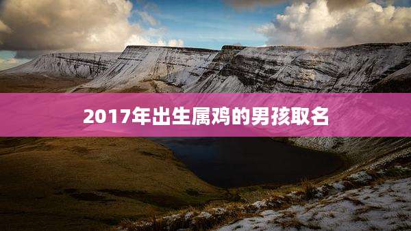 2017年出生属鸡的男孩取名