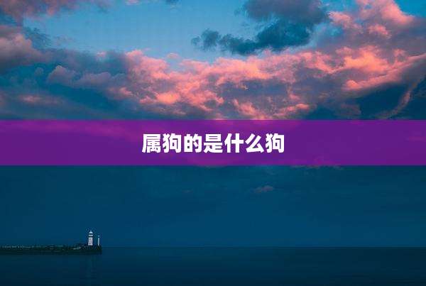 属狗的是什么狗