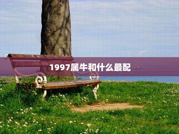 1997属牛和什么最配