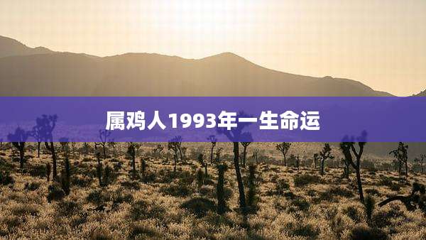 属鸡人1993年一生命运