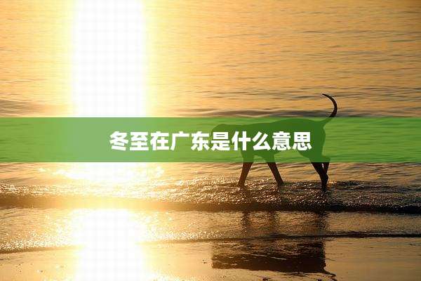 冬至在广东是什么意思