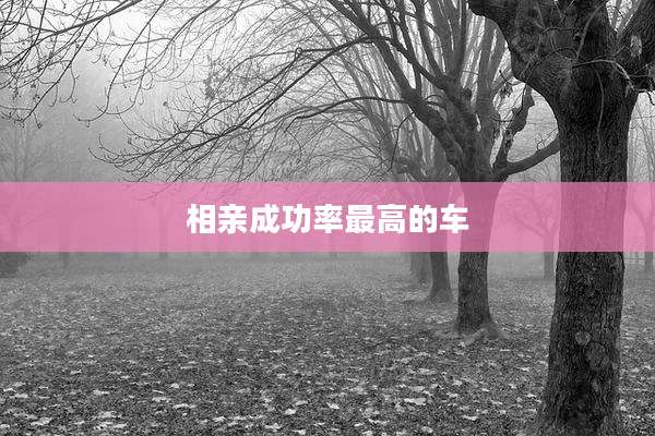 相亲成功率最高的车