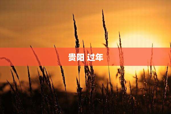贵阳 过年