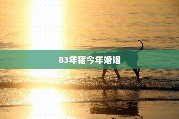 83年猪今年婚姻