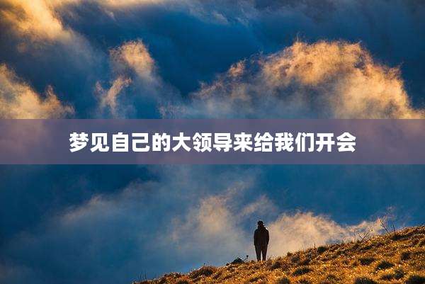 梦见自己的大领导来给我们开会