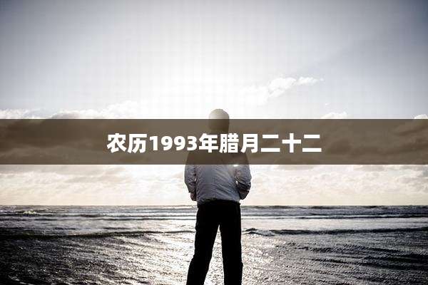 农历1993年腊月二十二