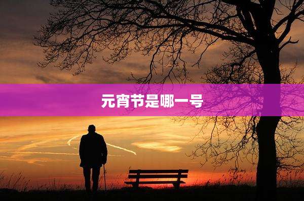元宵节是哪一号